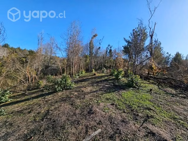 Parcela 5000m2 - Imagen 2