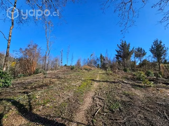 Parcela 5000m2 - Imagen 4