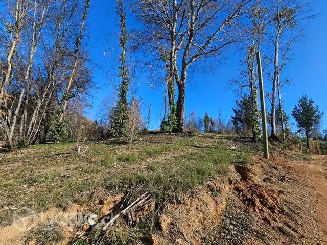 Parcela 5000m2 - Imagen 5