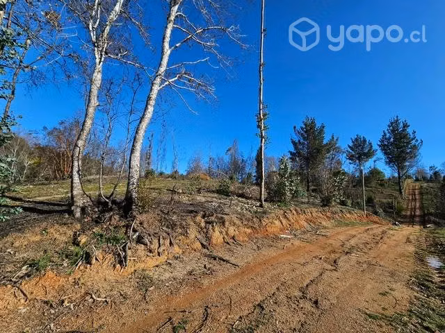 Parcela 5000m2 - Imagen 6
