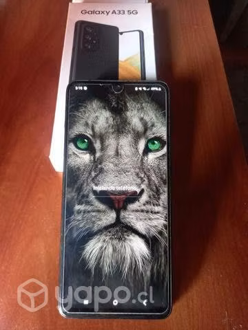 Samsung a33 5g