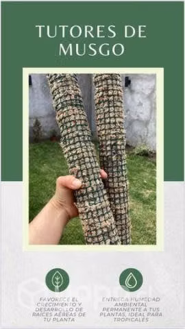 Tutores de musgo para plantas trepadoras