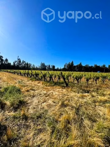 Parcela 5000 mts 2 - Imagen 2