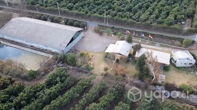 TERRENO CAMPO, ROMERAL, HIJUELAS, 18,2 Ha
