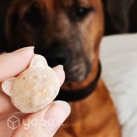 Colageno natural para Perros y Gatos