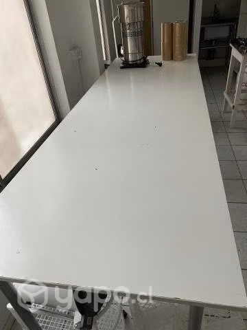 Mesón blanco