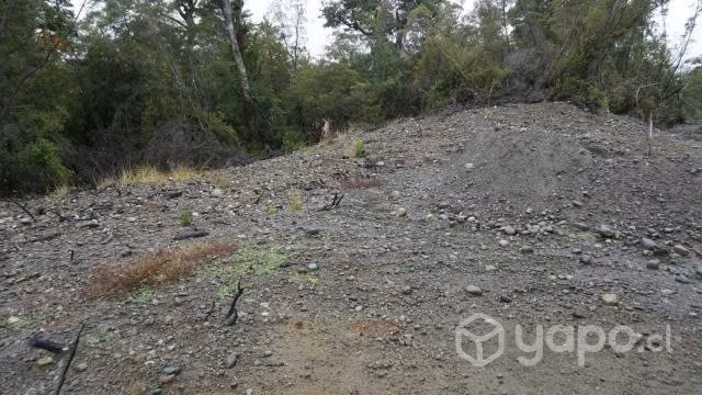 Parcela de bosque nativo en Lago Natri