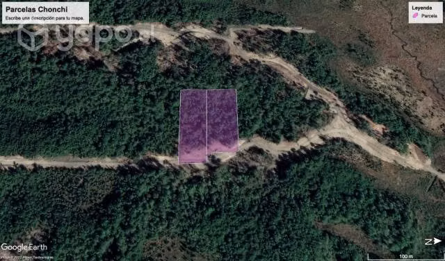Parcela de bosque nativo en Lago Natri