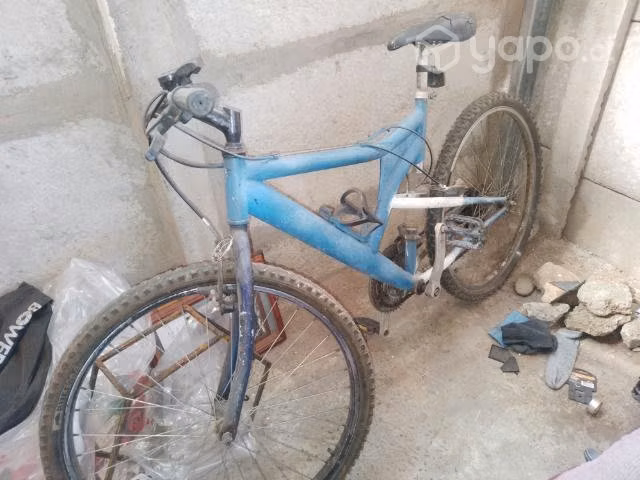 Tina y bicicleta