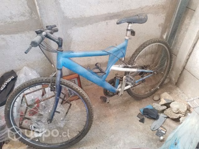 Tina y bicicleta