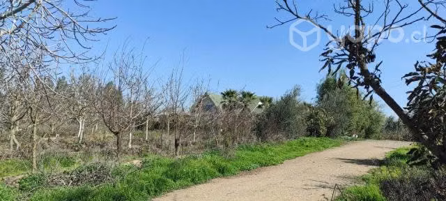 10Ha mas casa Patronal con Nogales en Melipilla