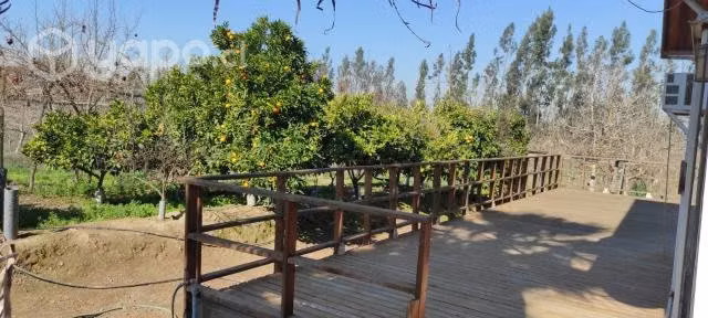 10Ha mas casa Patronal con Nogales en Melipilla