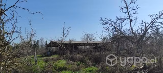 10Ha mas casa Patronal con Nogales en Melipilla