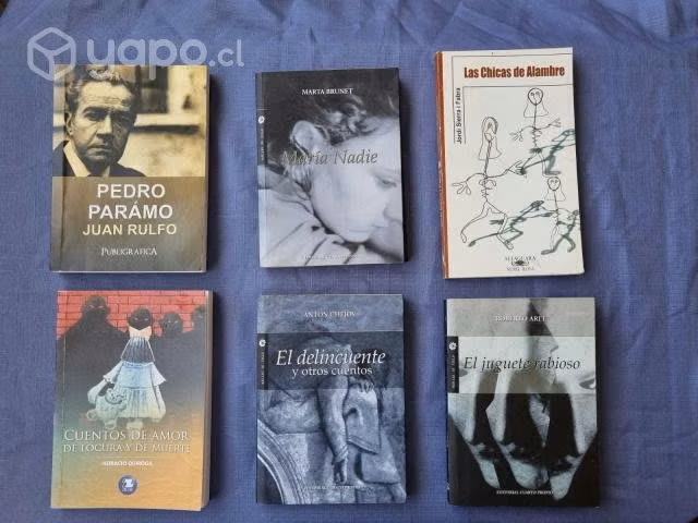 Conjunto de libros