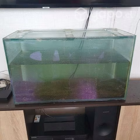 Pescera + accesorios - Imagen 3