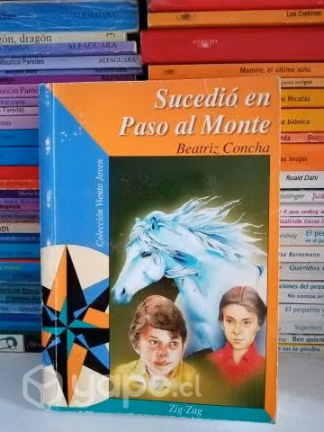 Sucedió en Paso al Monte