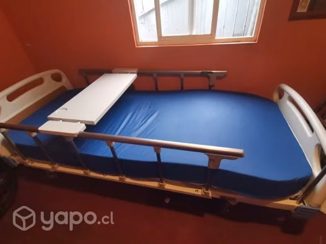 Cama clínica manual 3 posiciones