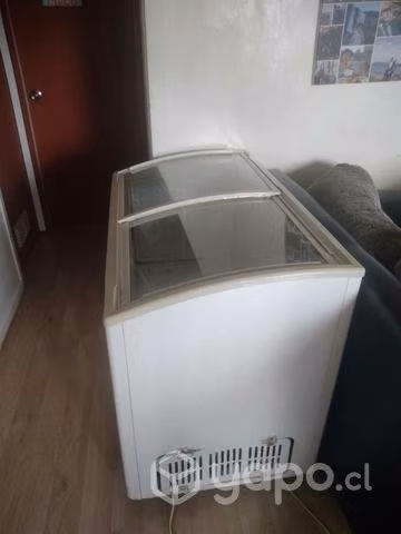 Congeladora 250 lt