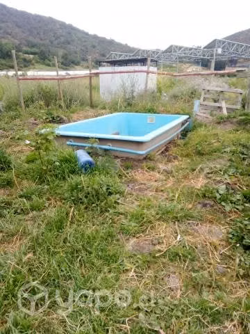 Piscina de fibra de vidrio