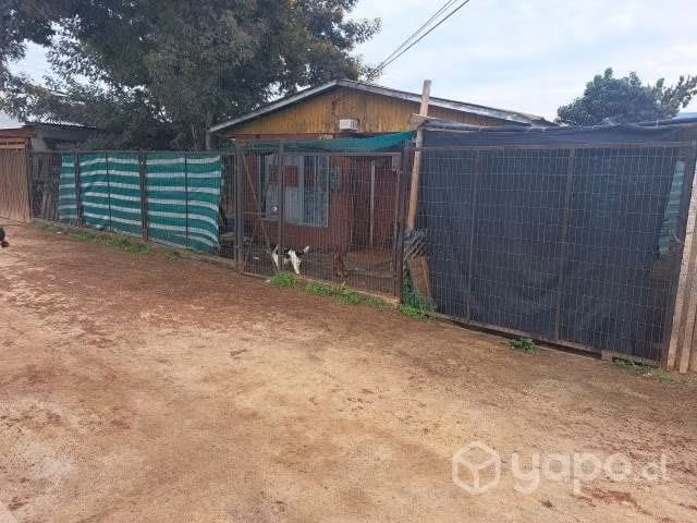 Casa cerca de centro en Limache - Imagen 3