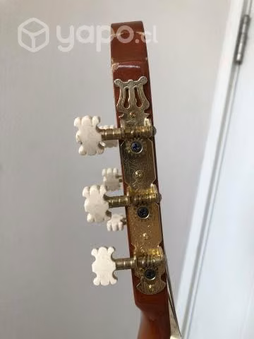 Guitarra acústica - Imagen 6