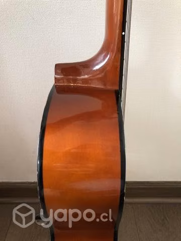 Guitarra acústica - Imagen 5