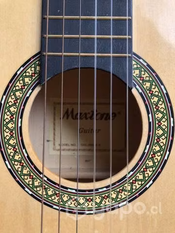 Guitarra acústica - Imagen 3