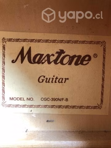 Guitarra acústica - Imagen 4