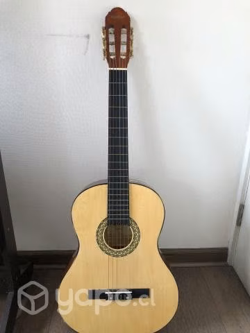 Guitarra acústica - Imagen 2