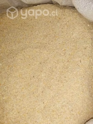 Chancado de maíz con trigo