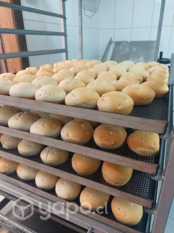 Panadería Próspera Con Sitio Y Casa Nueva