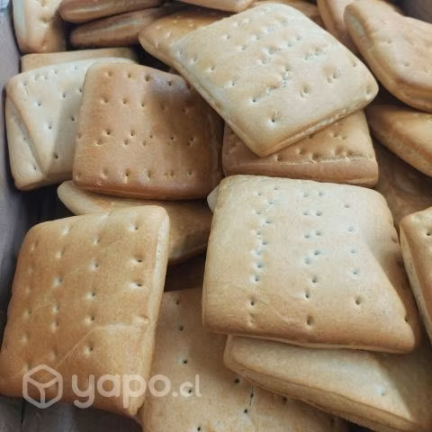 Panadería Próspera Con Sitio Y Casa Nueva