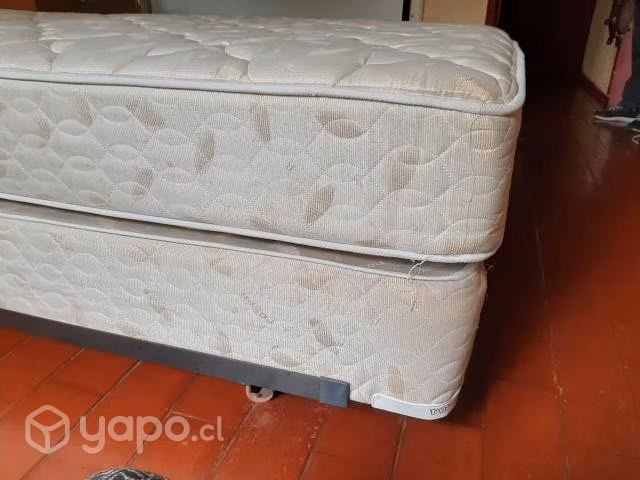 Cama plaza y media