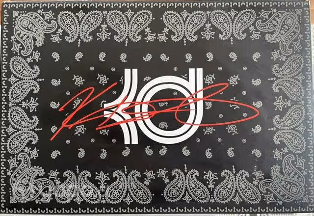 Zapatillas de Basquetbol