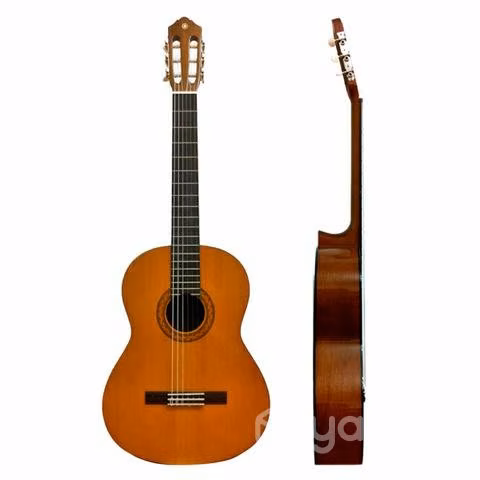 Guitarra acustica