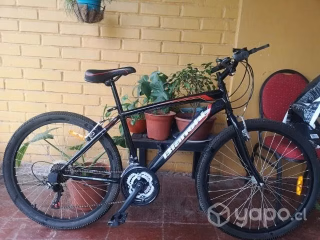 Bicicleta