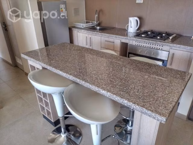Departamento amoblado año corrido