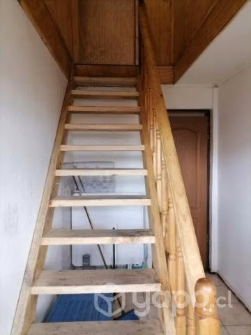 Habitación individual varón profesional
