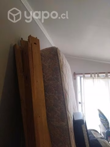 Cama. Nido de una plaza