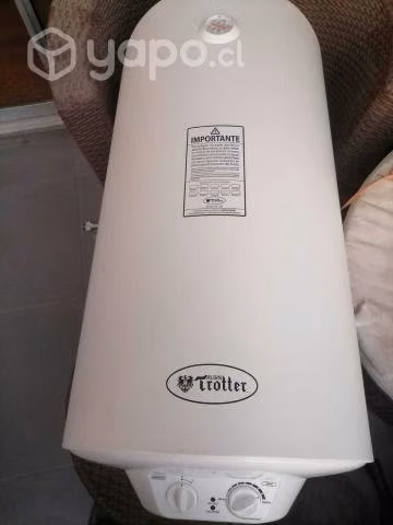 Termo electrico 100 lts
