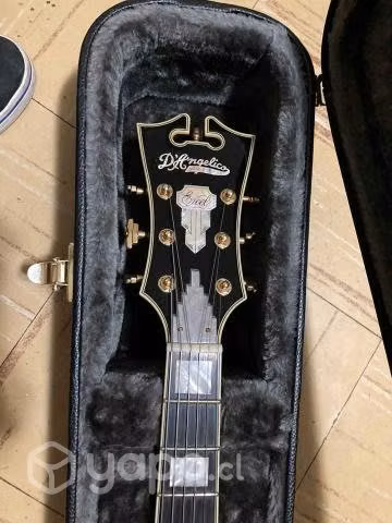 D'angelico Excel EXL-1