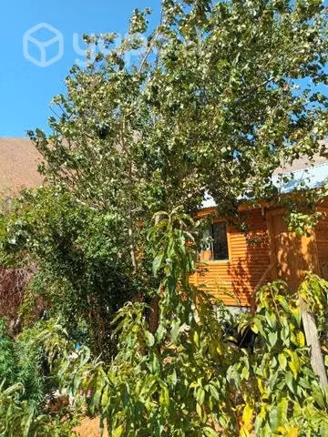 Terreno y cabaña en valle del elqui