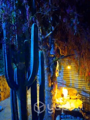 Terreno y cabaña en valle del elqui