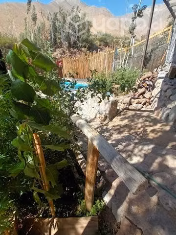 Terreno y cabaña en valle del elqui