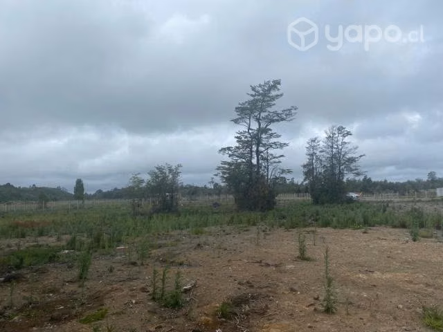 Parcela Media Hectárea - Dalcachue, Isla de Chiloé