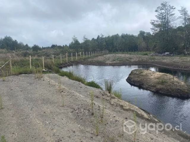 Parcela Media Hectárea - Dalcachue, Isla de Chiloé