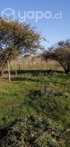 Venta de Parcela