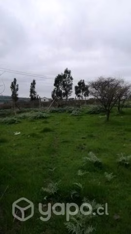 Venta de Parcela