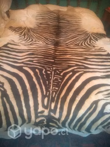 Alfombra cebra animal Print cuero xl 4 m2