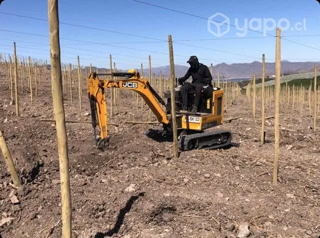 Mini excavadora